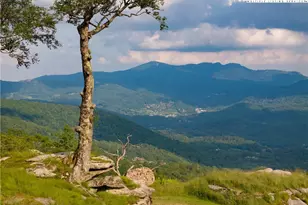 Lot L67 Eagles Nest Trail, Banner Elk, NC 28604 - Photo 1