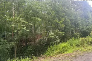Lot 3 Cedar Cove Ln, Fleetwood, NC 28626 - Photo 1