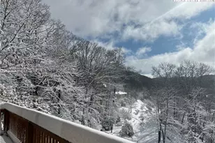 372 Coffey Ridge, Blowing Rock, NC 28605 - Photo 1