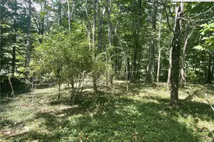 Tbd Hillside Dr, West Jefferson, NC 28684 - Photo 1