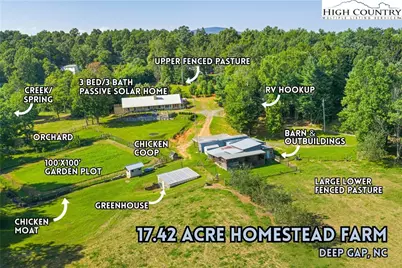 1218 Mtn View Baptist Church Road, Deep Gap, NC 28618 - Photo 1