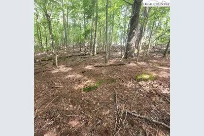 102 Oak Road, Beech Mountain, NC 28604 - Photo 1