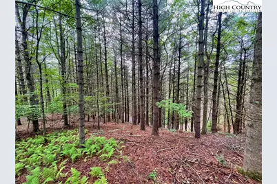 Tbd Daniel Pierce Road, West Jefferson, NC 28694 - Photo 1