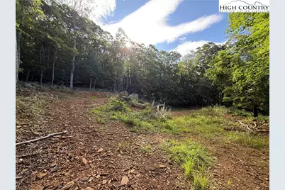 Tbd Lauren Lane, West Jefferson, NC 28694 - Photo 1