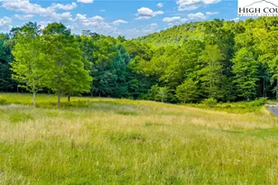 2B Mica Creek, Todd, NC 28684 - Photo 1