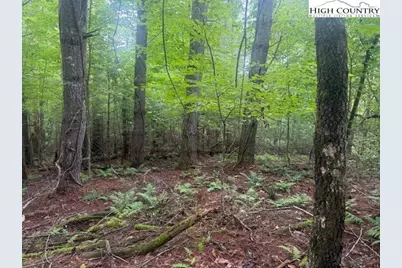 Tbd Beaver Creek Drive, West Jefferson, NC 28694 - Photo 1