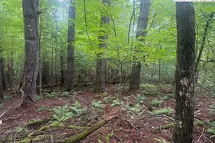 Tbd Beaver Creek Dr, West Jefferson, NC 28694 - Photo 1