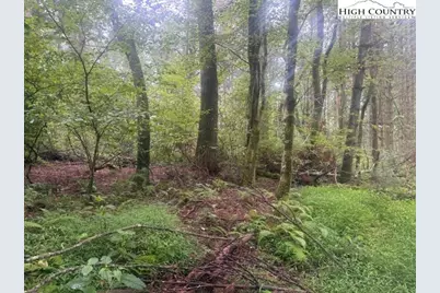 Tbd Thistle Hill Lane, Jefferson, NC 28640 - Photo 1