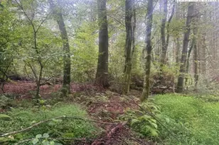 Tbd Thistle Hill Ln, Jefferson, NC 28640 - Photo 1