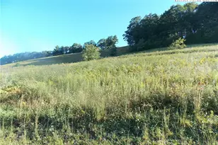 Lot 29 Hartley Knob, Boone, NC 28607 - Photo 1