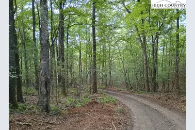 Tbd Elk Knob Road, Laurel Springs, NC 28644 - Photo 1