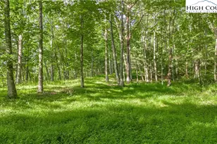 Tbd River Stone Dr, Laurel Springs, NC 28644 - Photo 1