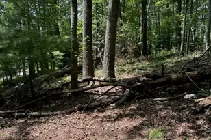 Lot 26 Riverside Dr, Sparta, NC 28675 - Photo 1