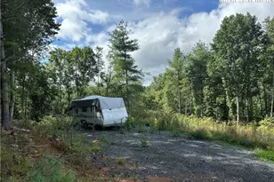 0 Guy Neaves Rd, Crumpler, NC 28617 - Photo 1