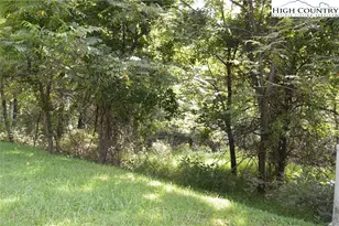 Lot #2 Riverwalk Dr, Sparta, NC 28675 - Photo 1