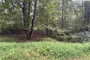 Tbd High Valley Way, Laurel Springs, NC 28644 - Photo 1