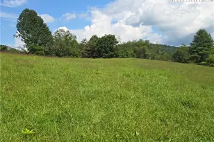 Tbd Bower Ln, Jefferson, NC 28640 - Photo 1