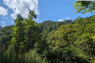 Tbd Rock Creek Rd, Creston, NC 28615 - Photo 1