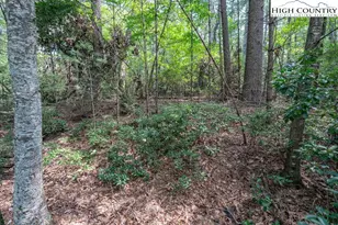 Tbd Ira Rd, Boone, NC 28607 - Photo 1
