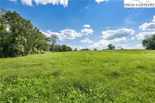 Tbd Hamby Mountain Rd, Purlear, NC 28665 - Photo 1