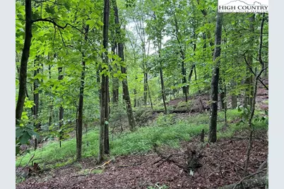Tbd Rattlesnake Mountain Road, Laurel Springs, NC 28644 - Photo 1
