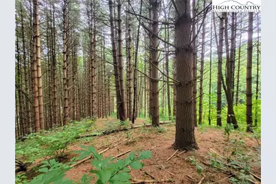 Lot 7 West Mill Creek Est, Warrensville, NC 28643 - Photo 1