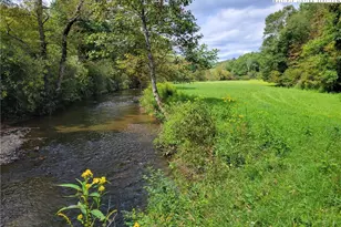 Tbd Dell Coffey Rd, Boone, NC 28607 - Photo 1