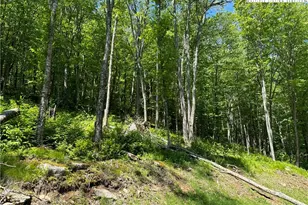 Es 16 Eagle Feather, Banner Elk, NC 28604 - Photo 1