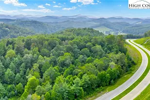 Tbd US Hwy 221 S, Fleetwood, NC 28626 - Photo 1