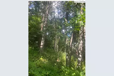 Tbd Ayers Mountain E, Banner Elk, NC 28604 - Photo 1