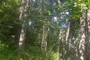 Tbd Ayers Mountain E, Banner Elk, NC 28604 - Photo 1