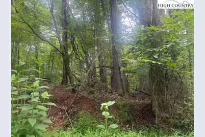 Tbd Beaver Creek Drive, West Jefferson, NC 28694 - Photo 1