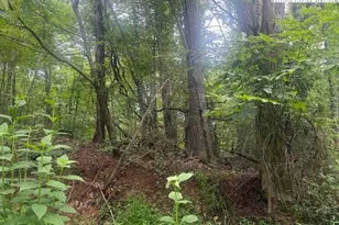 Tbd Beaver Creek Dr, West Jefferson, NC 28694 - Photo 1