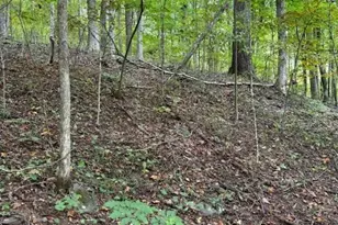 Lot 770 Tbd Ivy Ct, Creston, NC 28615 - Photo 1