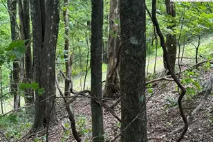 Lot 648 Longview Ln Or Merrywood Dr, West Jefferson, NC 28694 - Photo 1