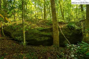 Lot 16 17 18 Tara Dr, Banner Elk, NC 28604 - Photo 1