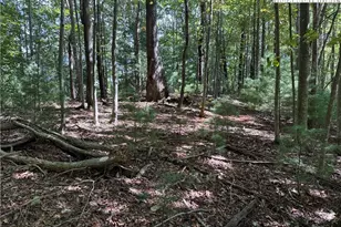 Lot 229 Deer Run Rd, Purlear, NC 28665 - Photo 1