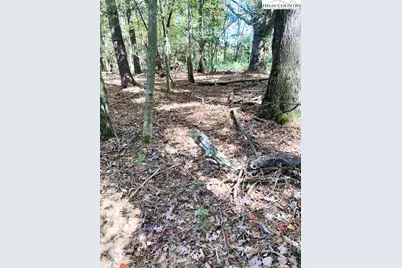 Tbd Hollyknoll Road, Glade Valley, NC 28627 - Photo 1