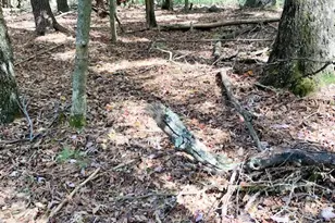 Tbd Hollyknoll Rd, Glade Valley, NC 28627 - Photo 1