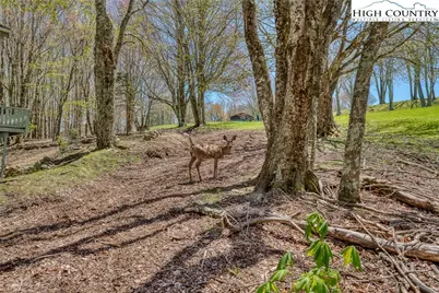 201 Grassy Gap Loop Road, Beech Mountain, NC 28604 - Photo 1