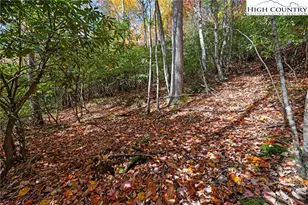 244 Poplar Dr, Beech Mountain, NC 28604 - Photo 1