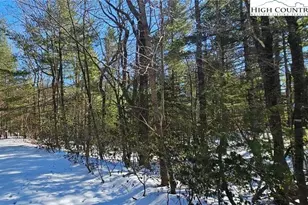 Tbd Little Creek Ln, Glade Valley, NC 28627 - Photo 1