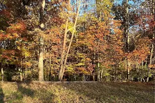 Lot 43 Short St Dr, Wilkesboro, NC 28697 - Photo 1