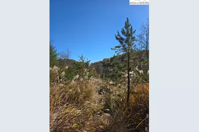 Tbd Browntown Road, Millers Creek, NC 28651 - Photo 1