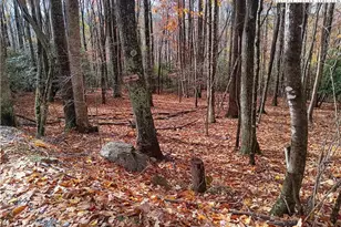 205 Rhododendron Dr, Beech Mountain, NC 28604 - Photo 1