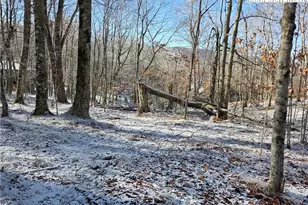 107 Spring Branch Rd, Beech Mountain, NC 28604 - Photo 1