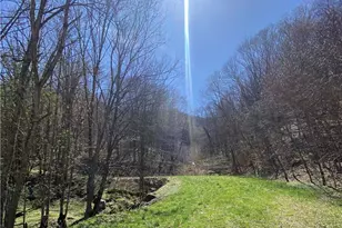 Tbd/Lot 2 Trillium Creek Run, Newland, NC 28657 - Photo 1