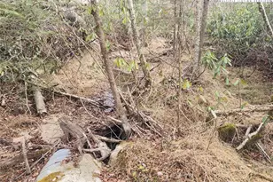 111 Willow Run, Beech Mountain, NC 28604 - Photo 1