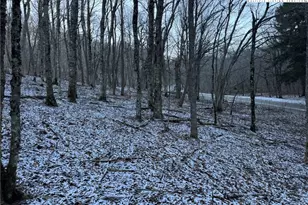 Tbd Woodland Springs Rd, Boone, NC 28607 - Photo 1