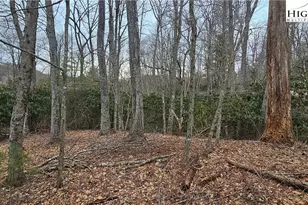 Lot 3 Raven Rock Dr, Boone, NC 28607 - Photo 1